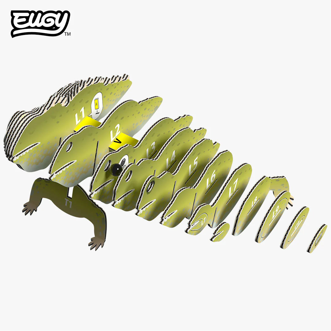 EUGY 004 Tuatara