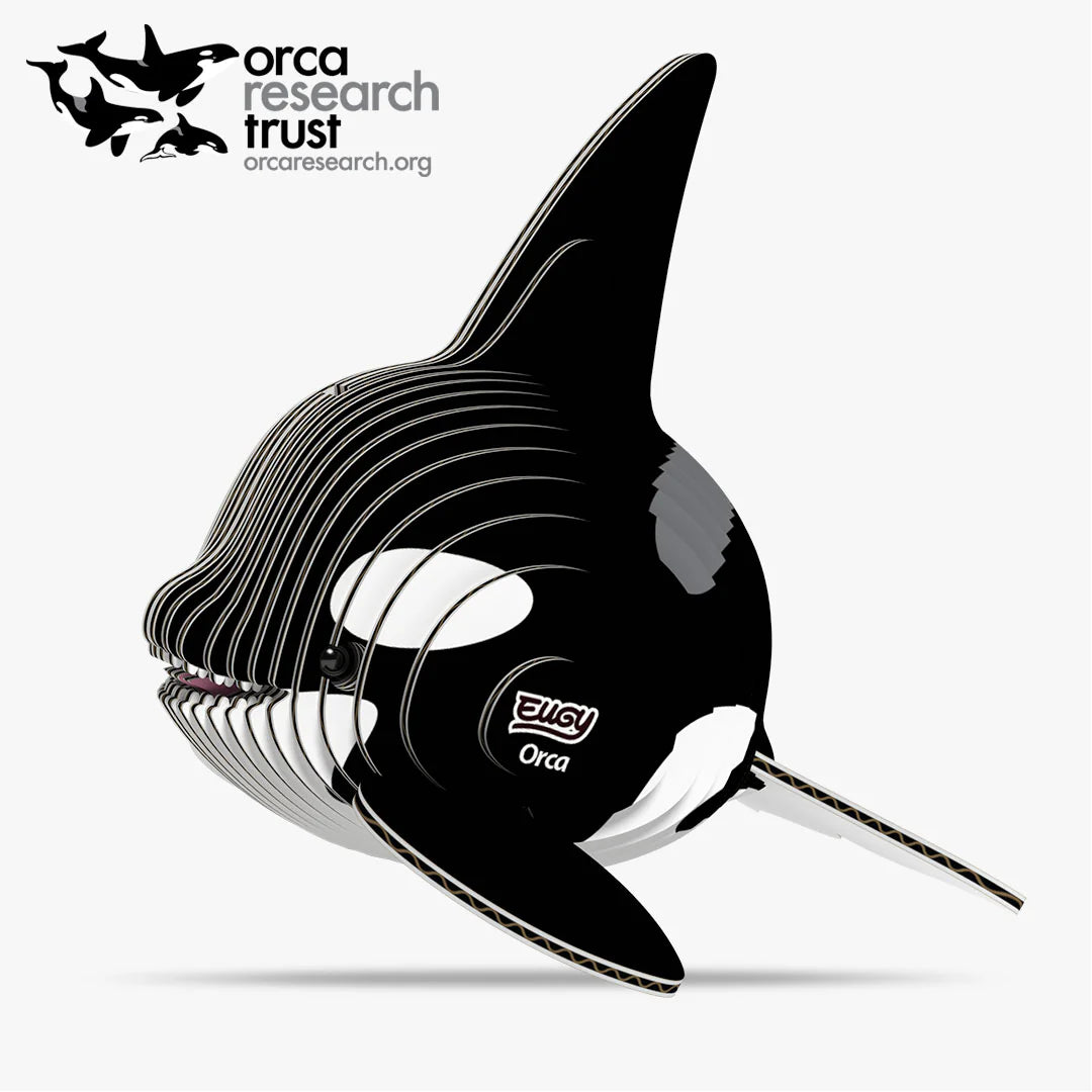 EUGY 020 Orca