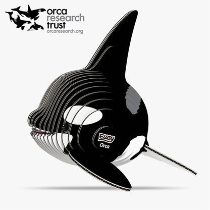 EUGY 020 Orca