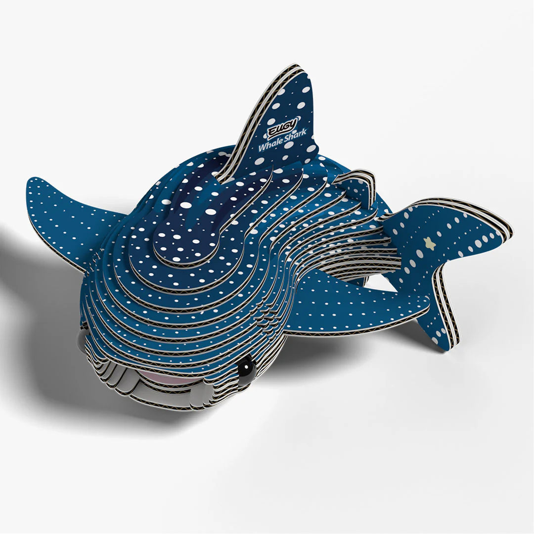 EUGY 049 Whale Shark