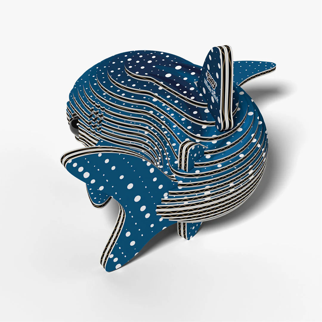 EUGY 049 Whale Shark