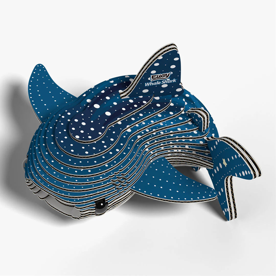 EUGY 049 Whale Shark