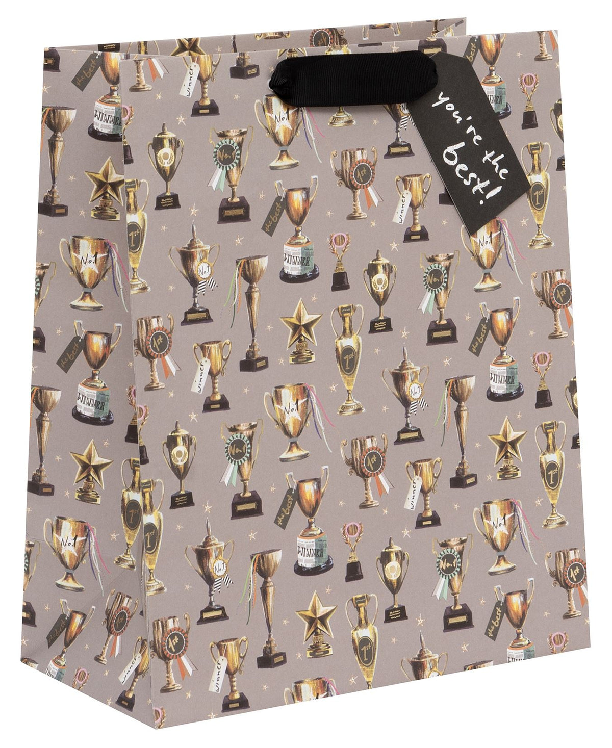 You'Re the Best Large Gift Bag by Stephanie Davies