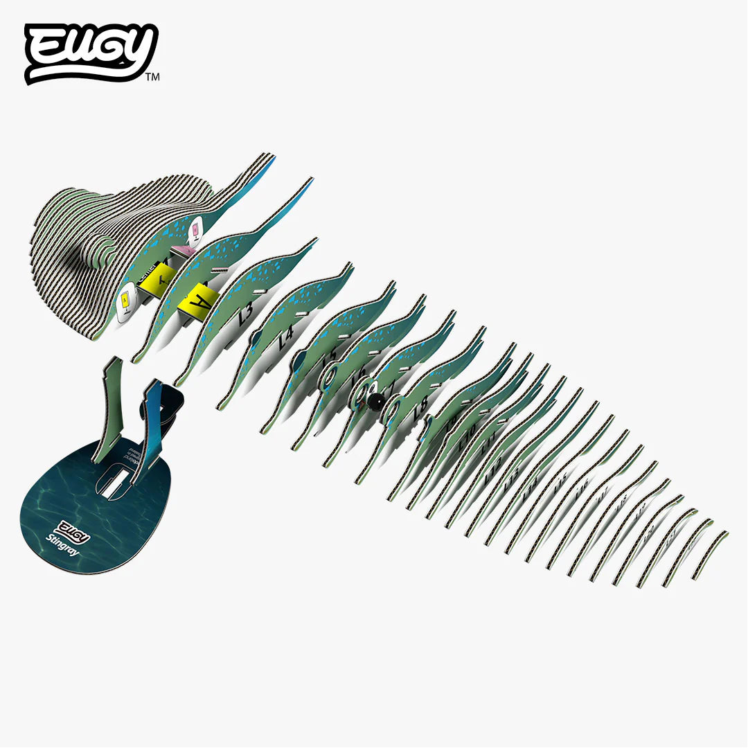 EUGY 102 Stingray