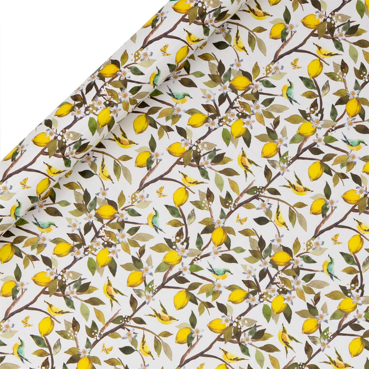 Lemon Orchard Wrapping Paper Roll (4m) by Stephanie Davies