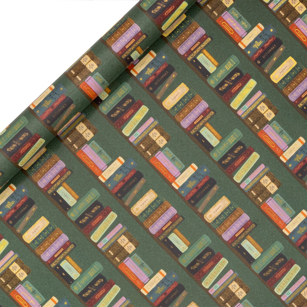 Book Club Wrapping Paper Roll (4m) by Stephanie Davies