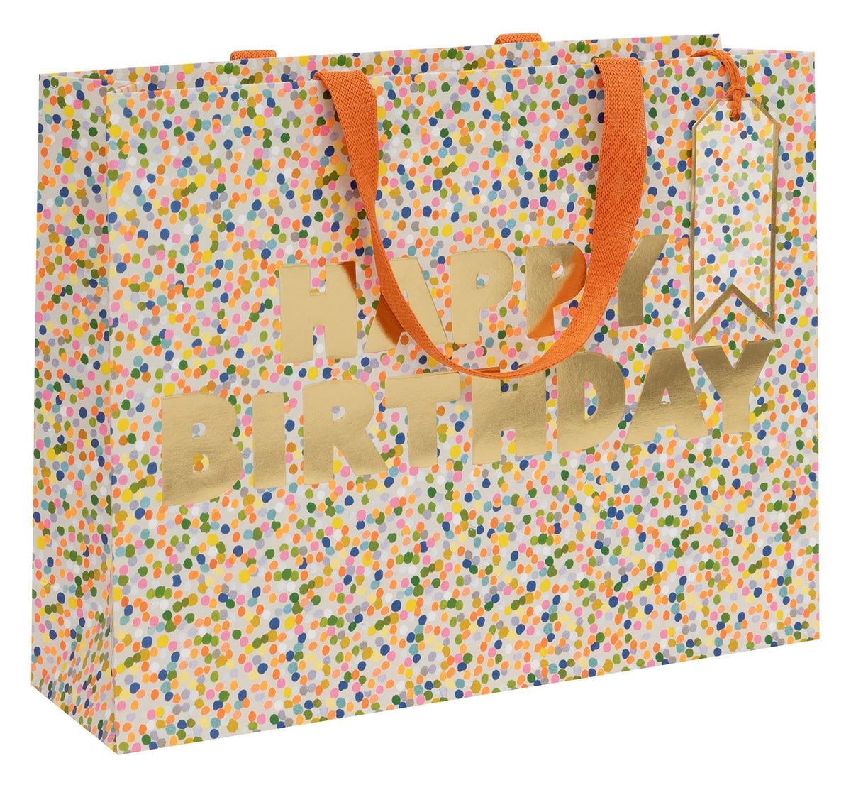 Dotty Birthday Large Landscape Gift Bag by Paper Salad