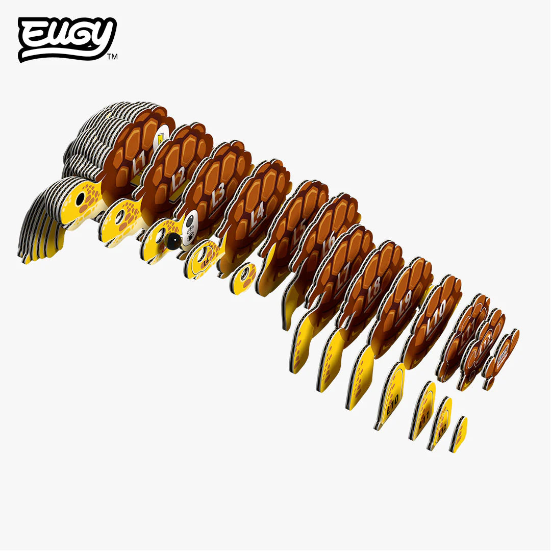EUGY 104 Tortoise