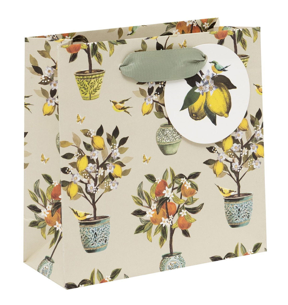 Fruit Orchard Small Gift Bag by Stephanie Davies