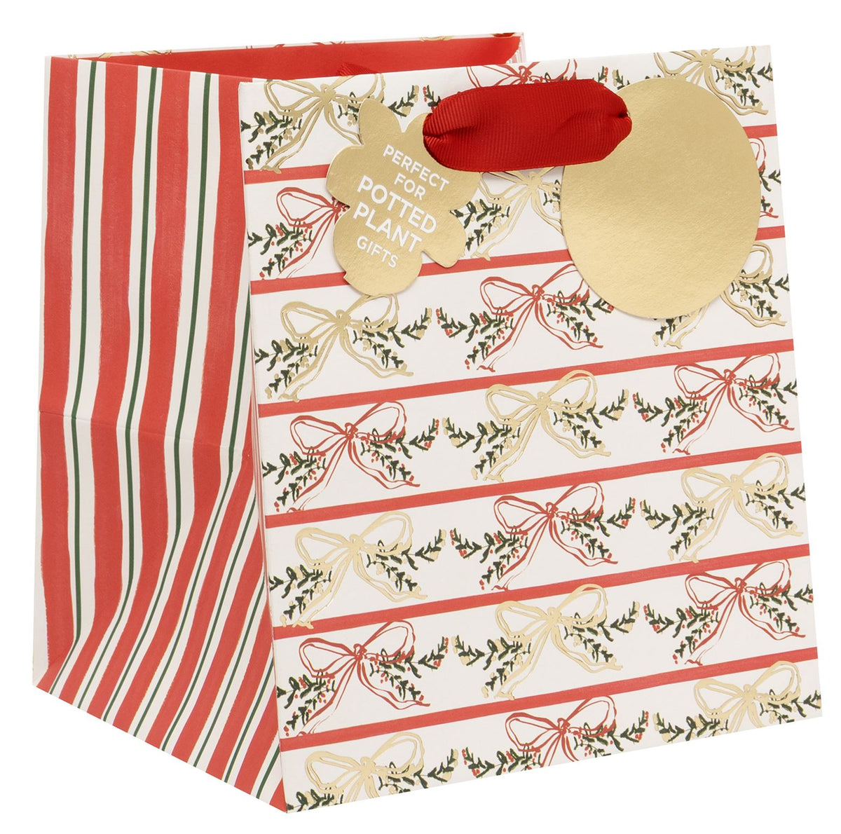 Joyful Ribbons Plant Gift Bag by Stephanie Dyment