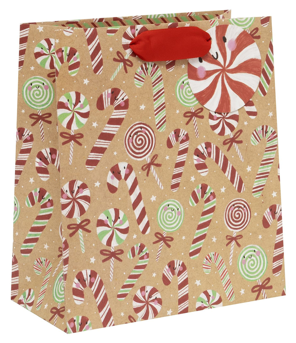 Candy Cane Lane Medium Gift Bag by Kate McFarlane