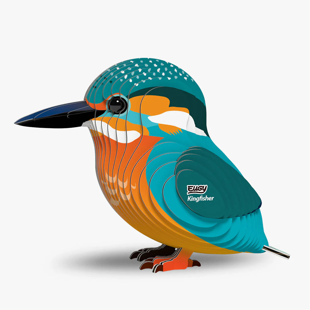 EUGY 121 Kingfisher