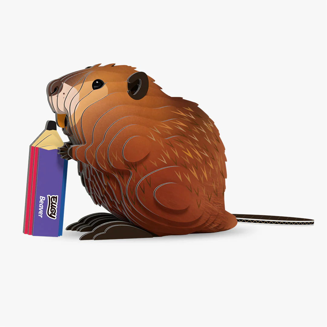 EUGY 127 Beaver
