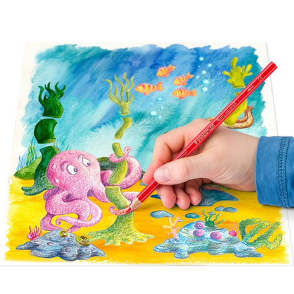 Staedtler Noris Aquarell 144 10 Watercolour Pencils – Box of 12 with Brush – image 2