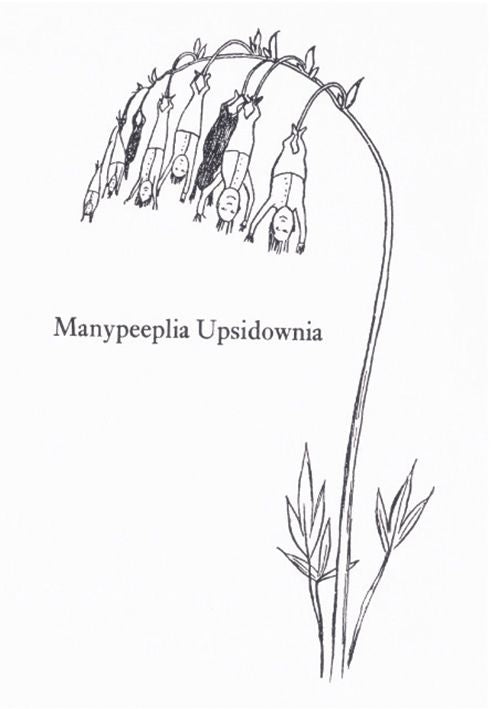 Edward Lear Manypeeplia Upsidownia Art Card