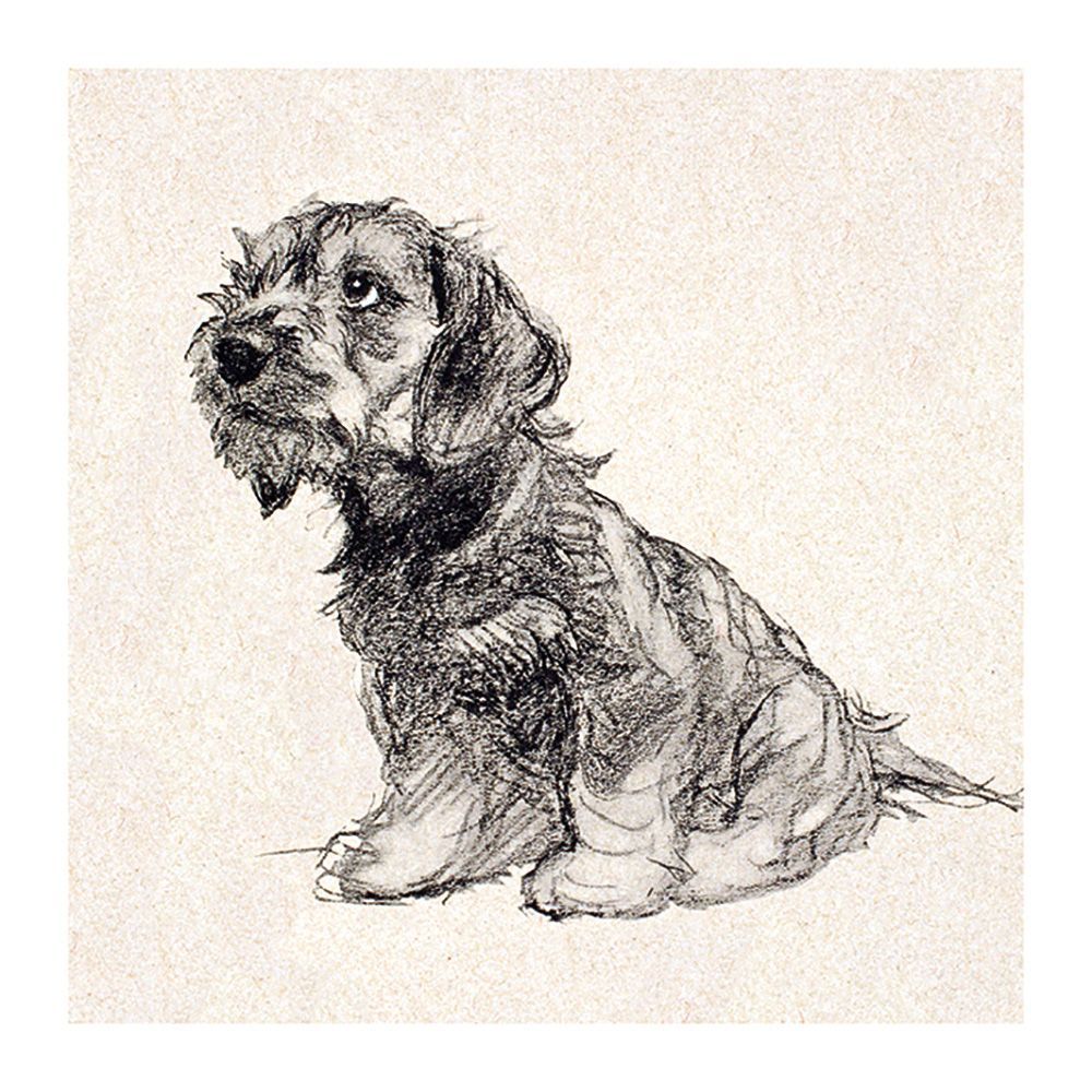 Cecil Aldin Puppy Love Art Card