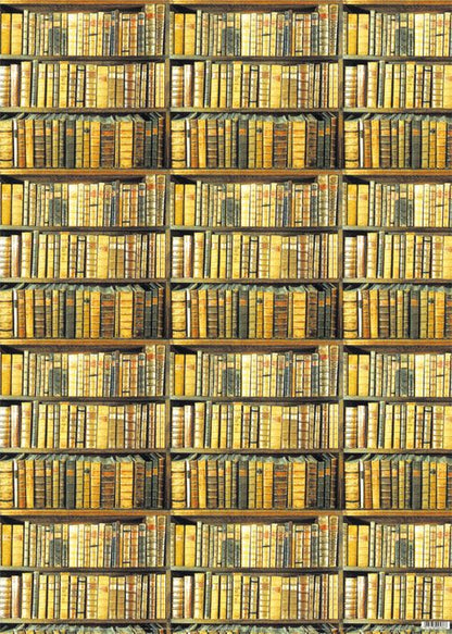 Bookshelf Wrapping Paper