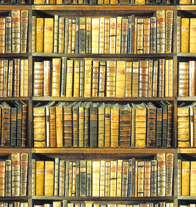 Bookshelf Wrapping Paper