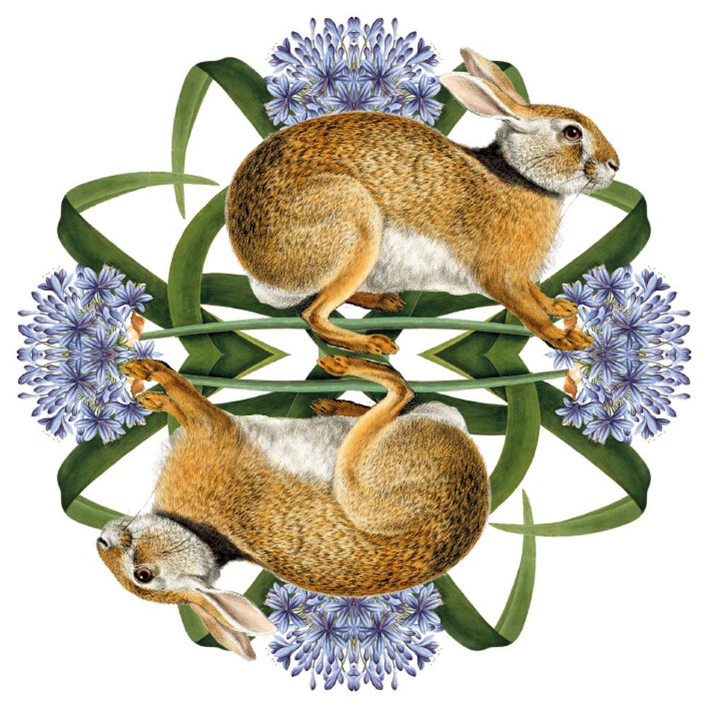 Natural History Museum European Brown Hare Art Card