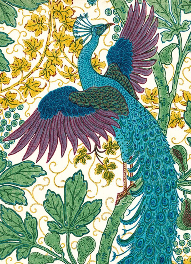 Walter Crane Fig and Peacock Art Card