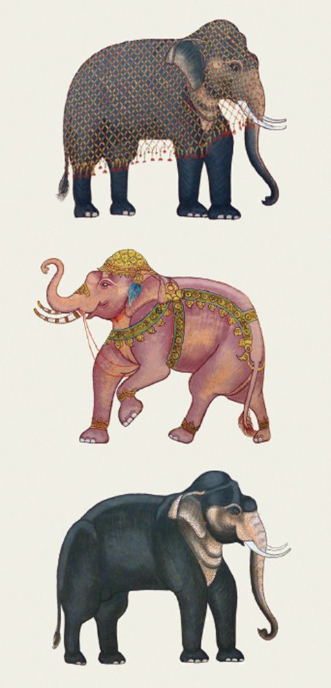 Indian Elephants Art Card