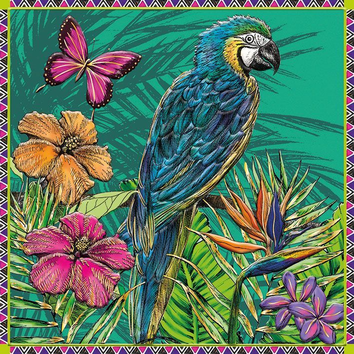 Matthew Williamson Parrot & Butterfly Art Card