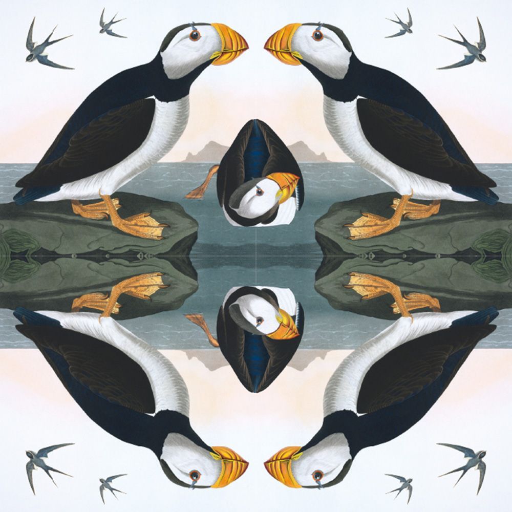 Natural History Museum Horned Puffin Art Card