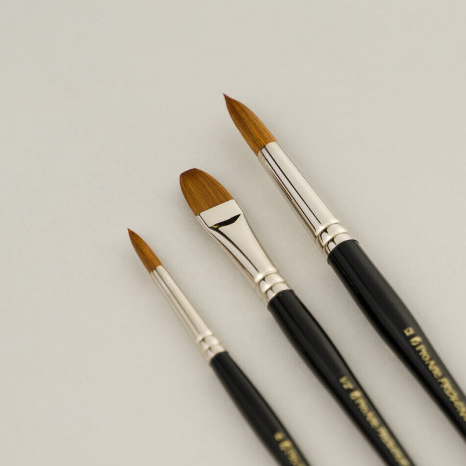 Pro Arte W5 Prolene Watercolour Brush Set in Wallet
