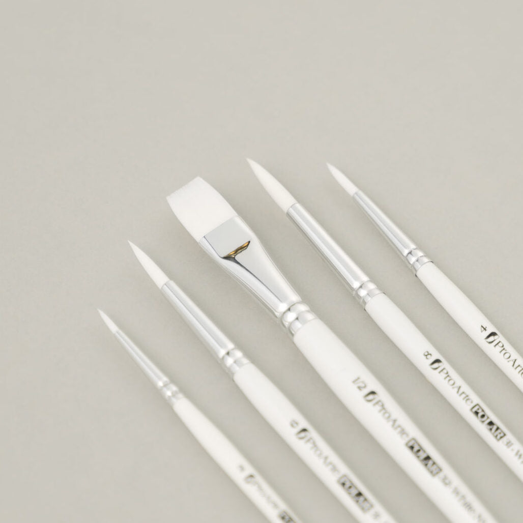 Pro Arte W10 Polar Brush Set in Wallet