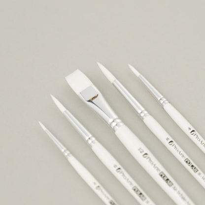 Pro Arte W10 Polar Brush Set in Wallet