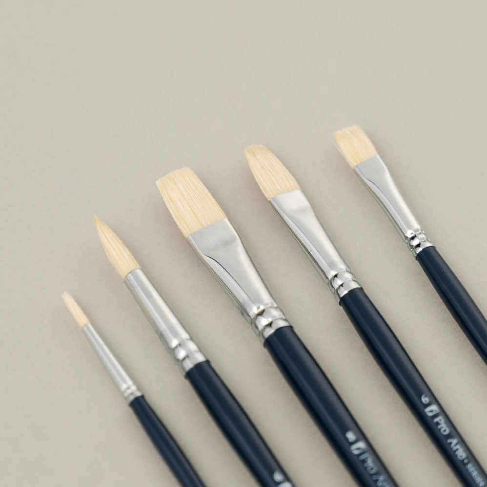 Pro Arte Back to College Student Hog Brush Set CWA