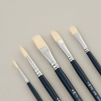 Pro Arte Back to College Student Hog Brush Set CWA