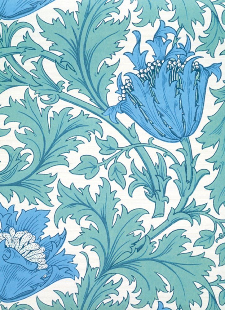 J.H. Dearle Anemone Wallpaper Art Card