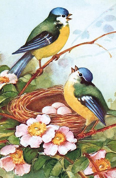 Bluetits Easter Card