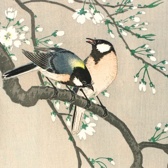 Ohara Koson Tits on Cherry Branch Art Card