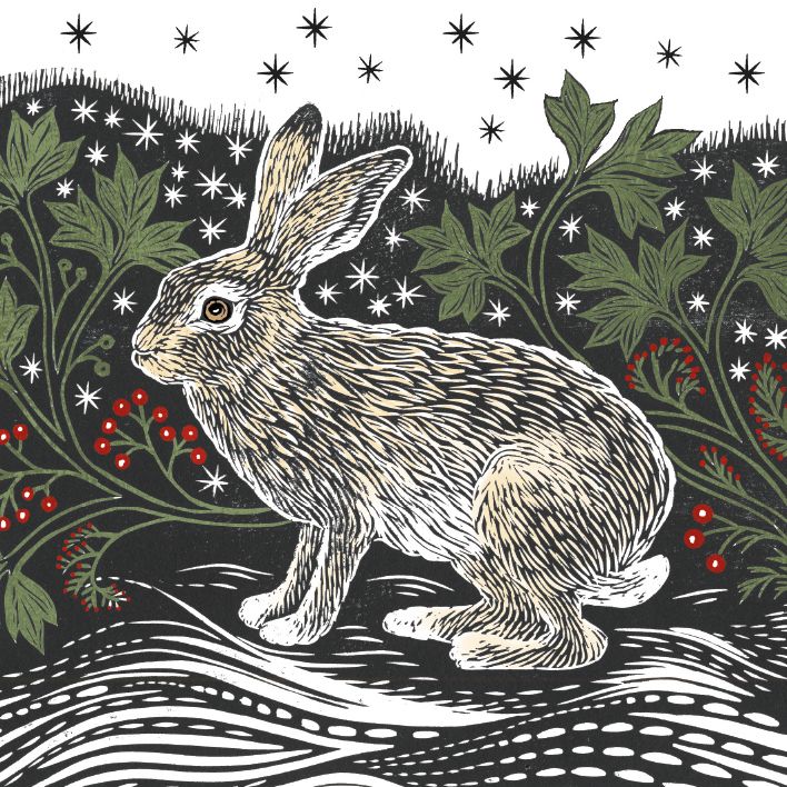 Valerie Greeley Starlight Hare Christmas Card Pack