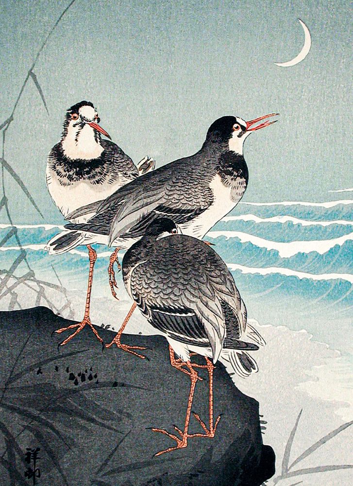 Ohara Koson Snipes at the Shore Art Card
