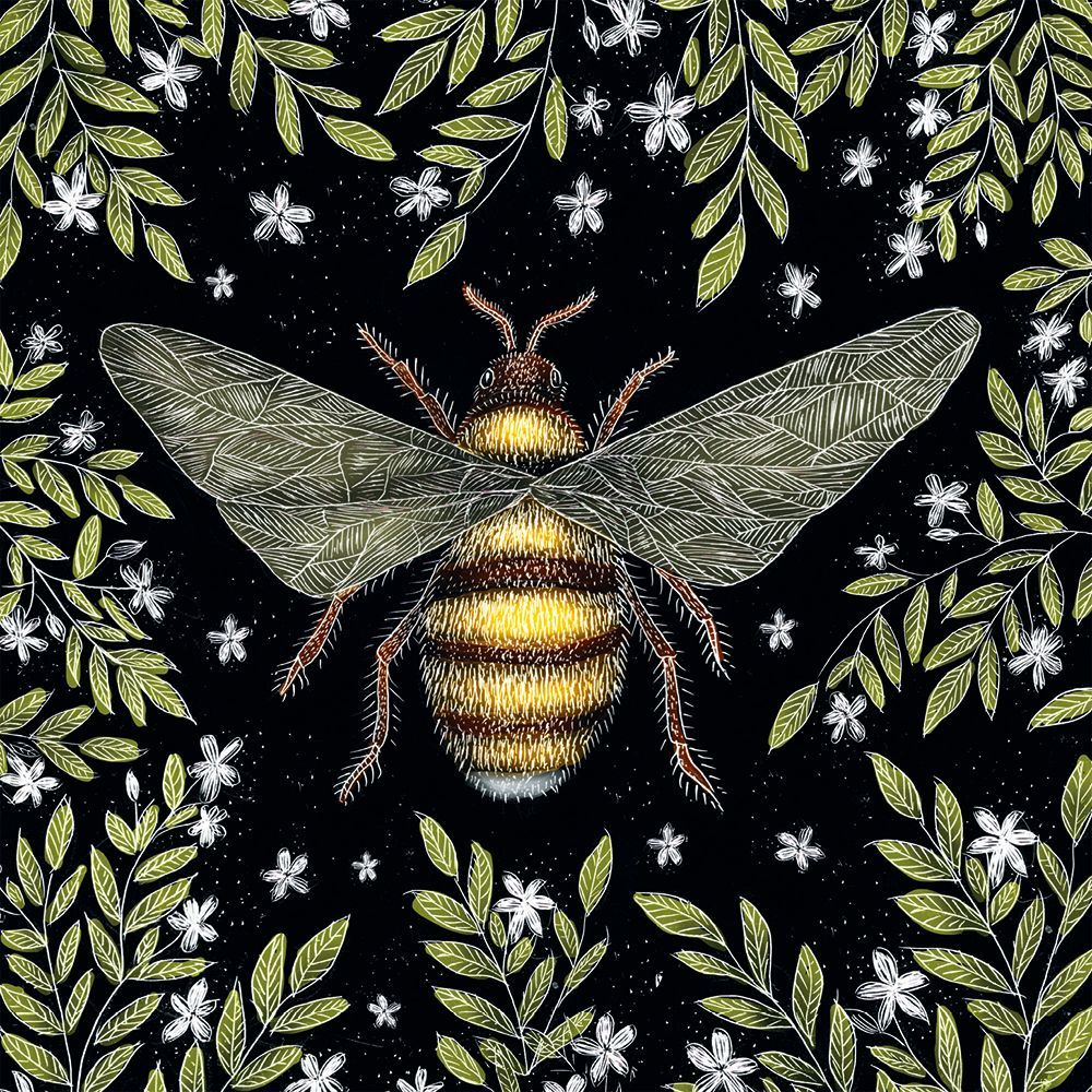 Catherine Rowe Honey Bee Pattern & Moth Pattern Notecard Wallet
