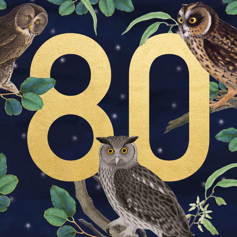 Natural History Museum Owls 80 Birthday Card