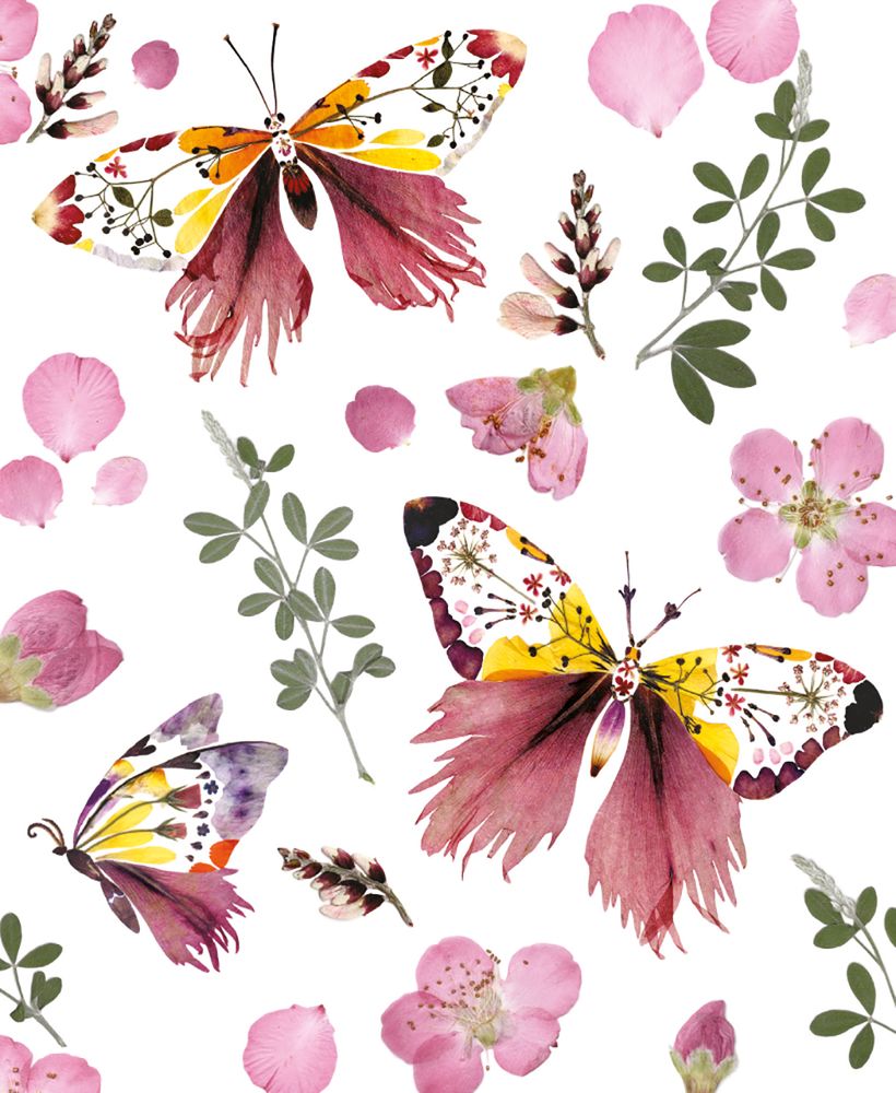 Helen Ahpornsiri Wildflower Butterflies Art Card