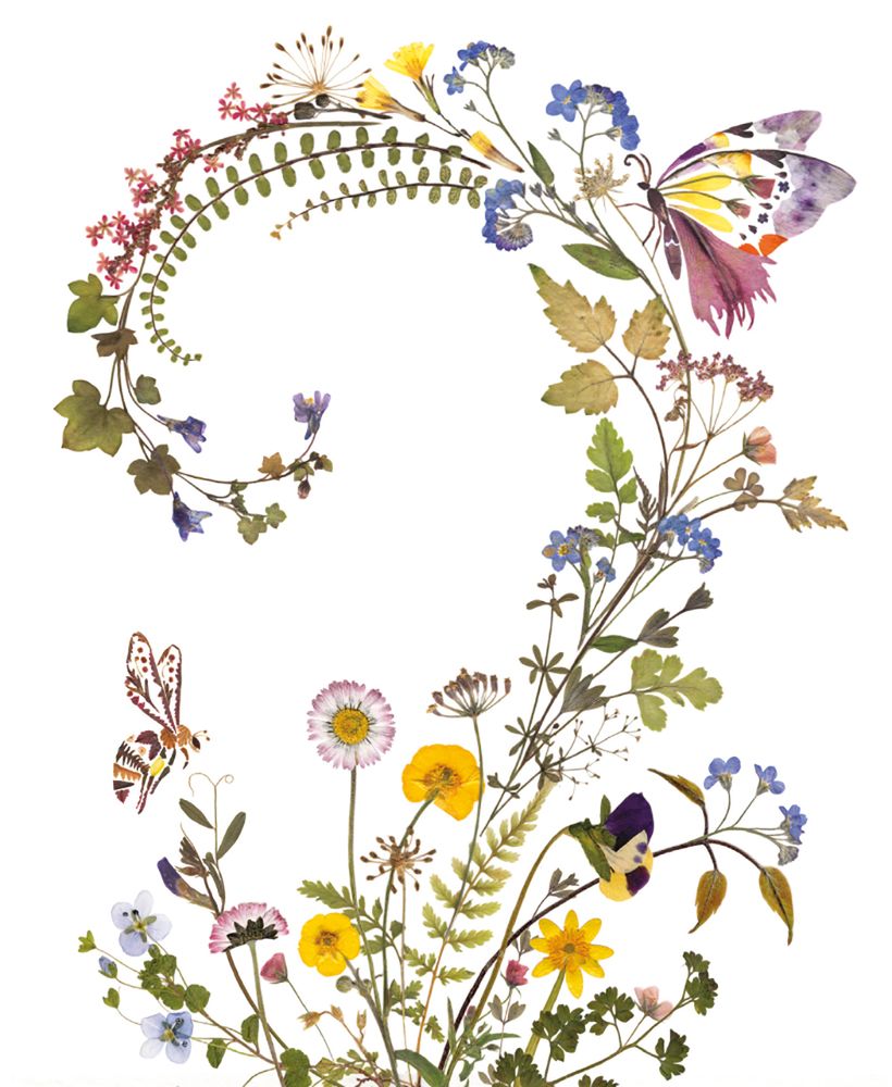Helen Ahpornsiri Floral Swirl Art Card