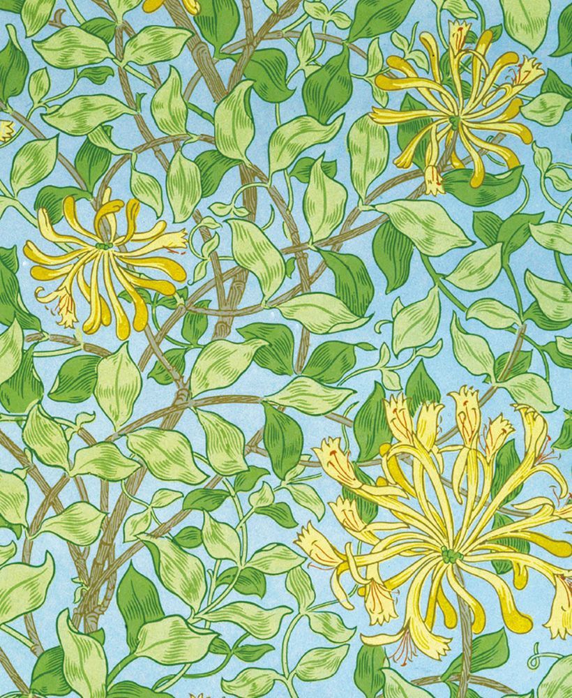 May Morris Honeysuckle Wallpaper Art Card