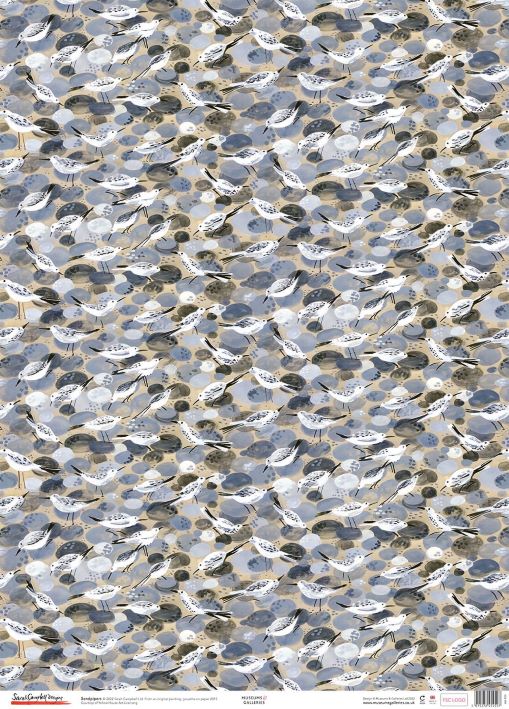 Sarah Campbell Sandpipers Gift Wrap Sheet