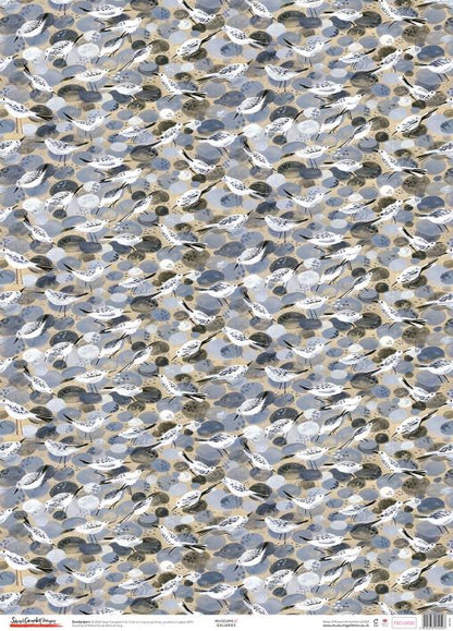 Sarah Campbell Sandpipers Gift Wrap Sheet