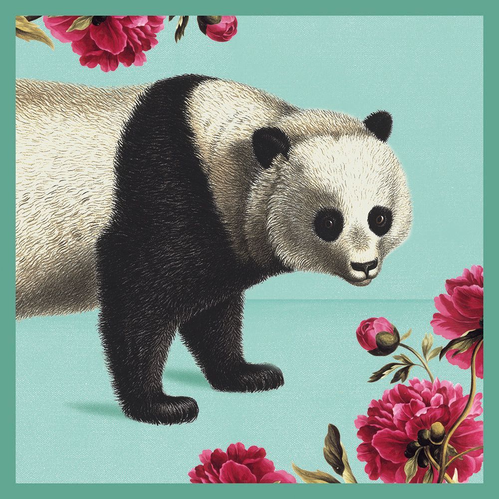 Natural History Museum Giant Panda Art Card