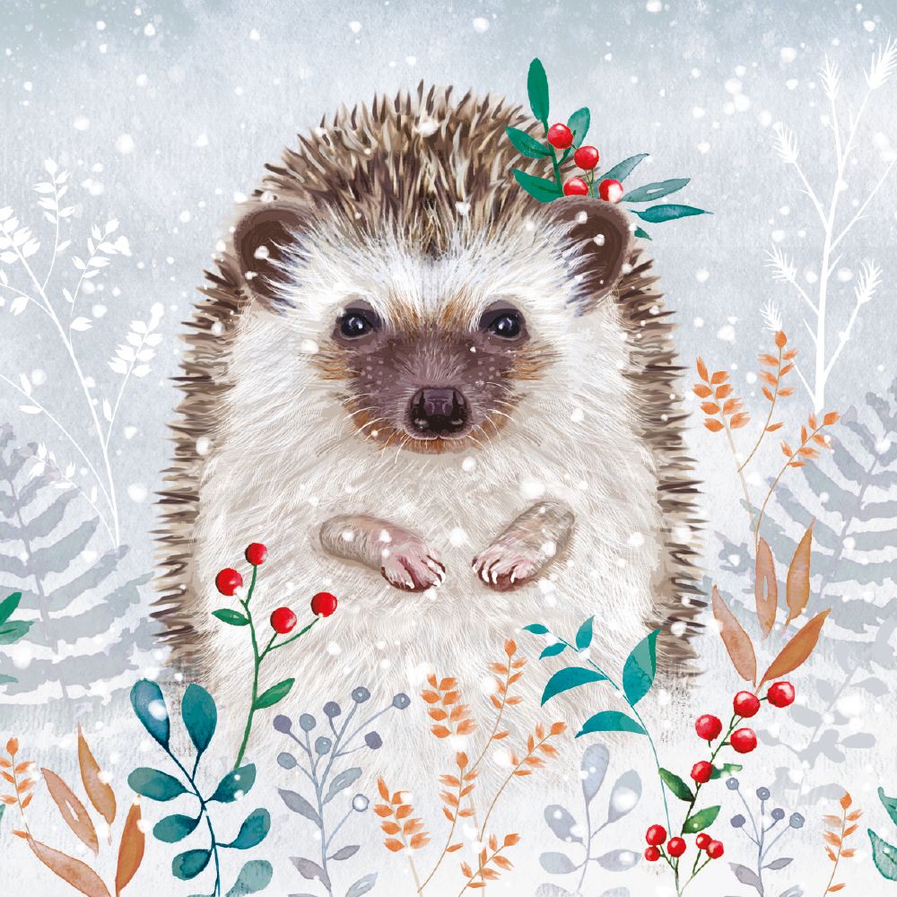 Jane Sunner Winter Foliage Hedgehog Christmas Card Pack