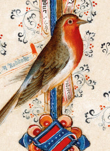 John Siferwas Marginal Drawing; a Robin Christmas Card Pack