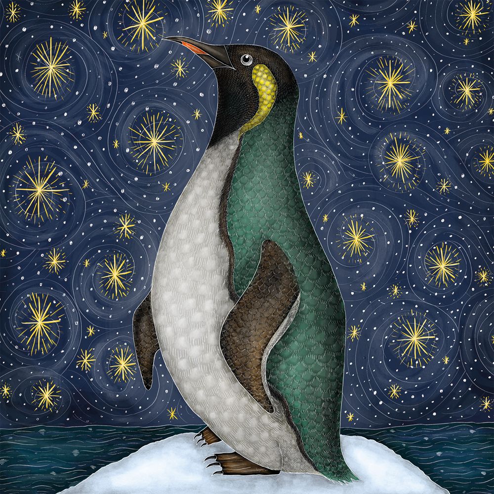 Catherine Rowe Penguin and Stars Christmas Card Pack