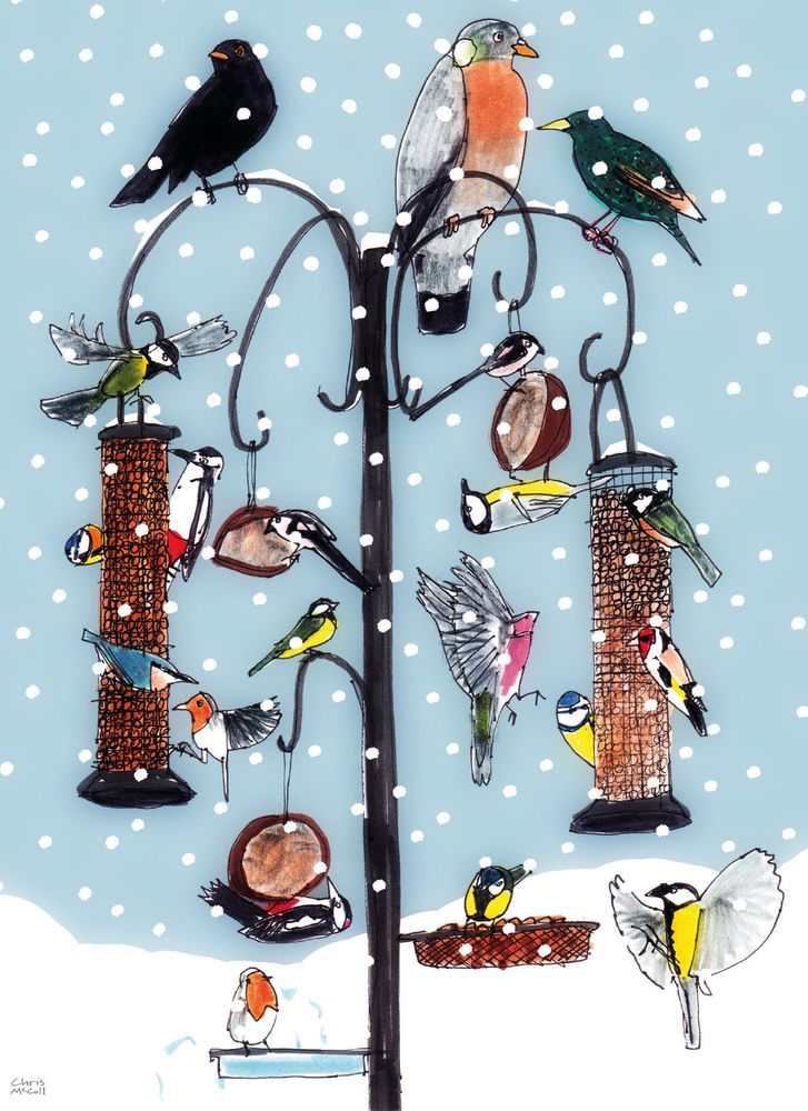 Christopher McColl Christmas Bird Feeder Card Pack