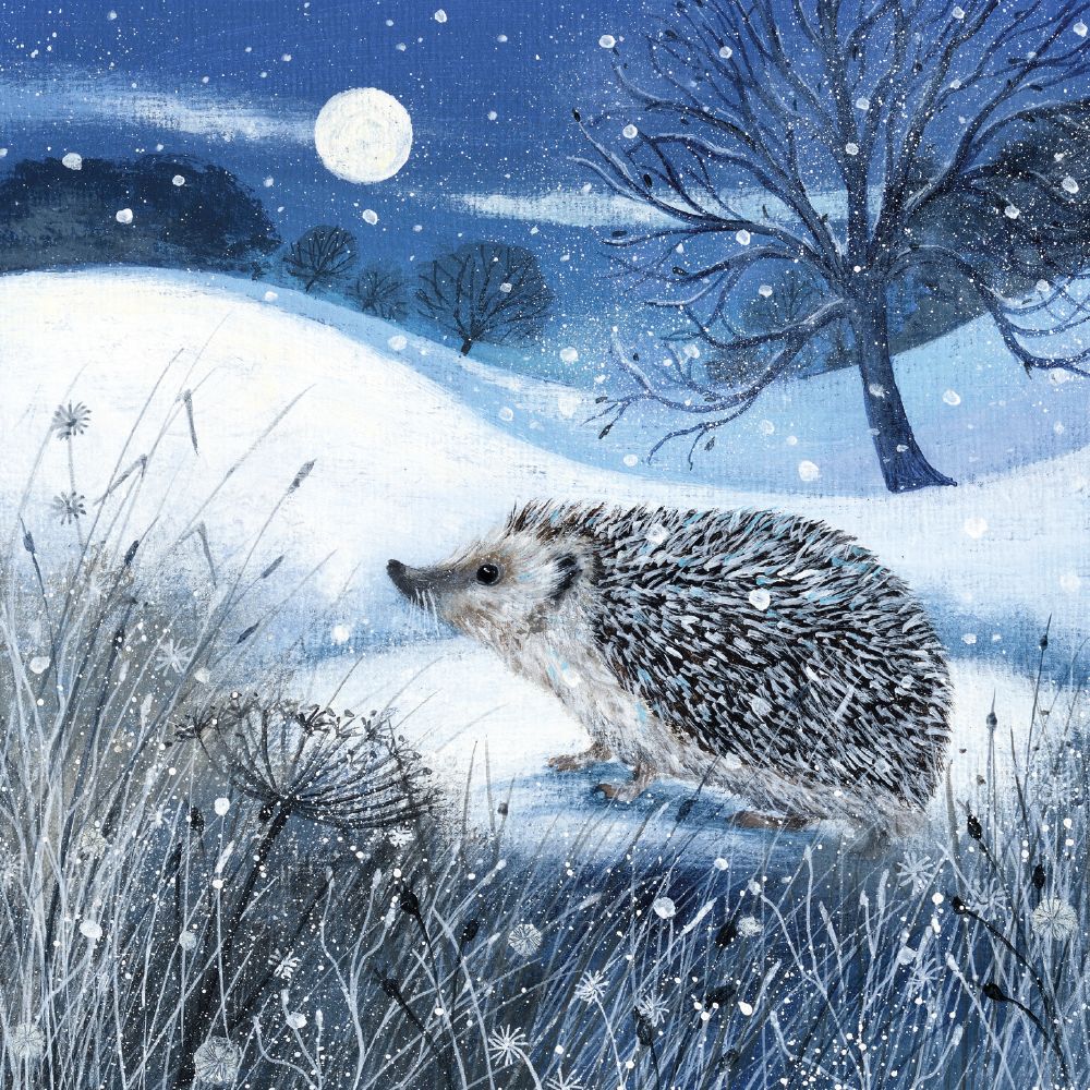 Lucy Grossmith Hedgehog and Moon Christmas Card Pack